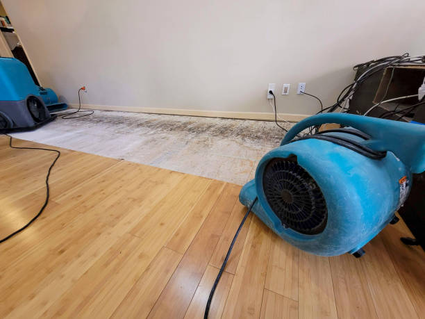 Professional Structural Drying technician working in Maynard, MA